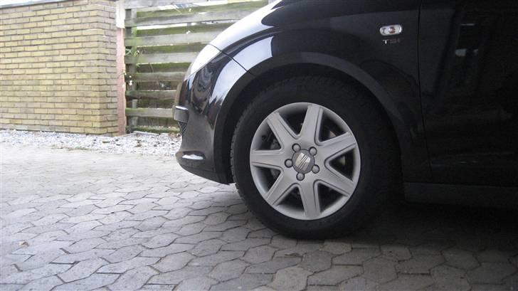 Seat Altea XL Stylance  - Vinterfælgen billede 2