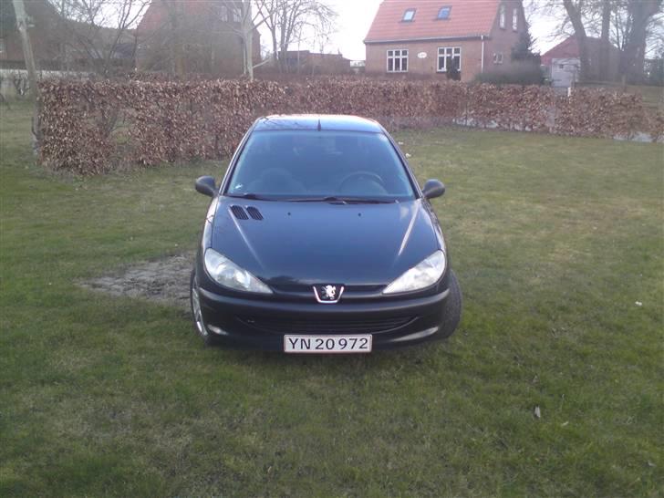 Peugeot 206 R.I.P. billede 1