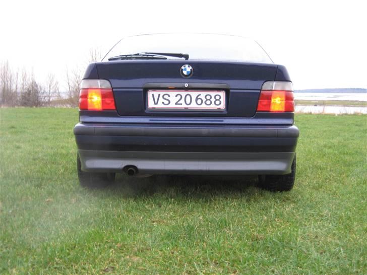 BMW 316i Compact Bavaria billede 6