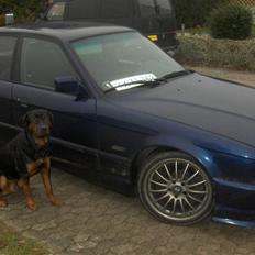 BMW e34 Solgt