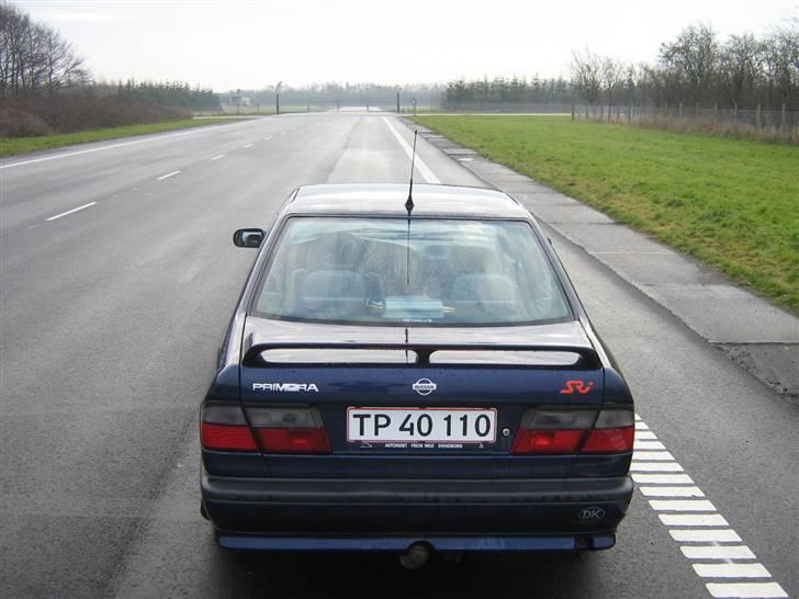 Nissan primera sri billede 5