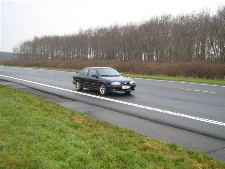 Nissan primera sri billede 8