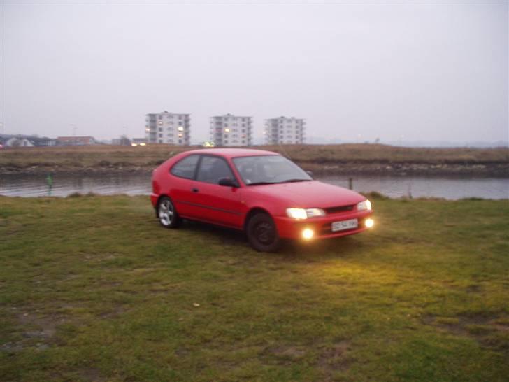 Toyota Corolla - SOLGT - Nice med tågelyger:P billede 1