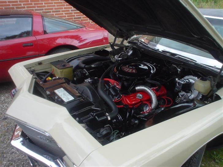 Buick Riviera - Et lille kig til V8´eren... billede 2