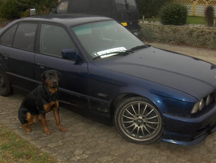 BMW e34 Solgt billede 3