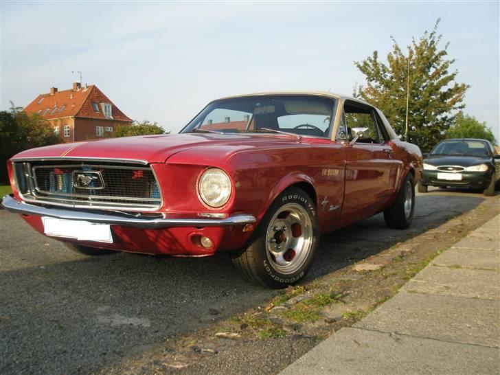 Ford Mustang  SOLGT - September foto lige før solnedgang.. billede 16