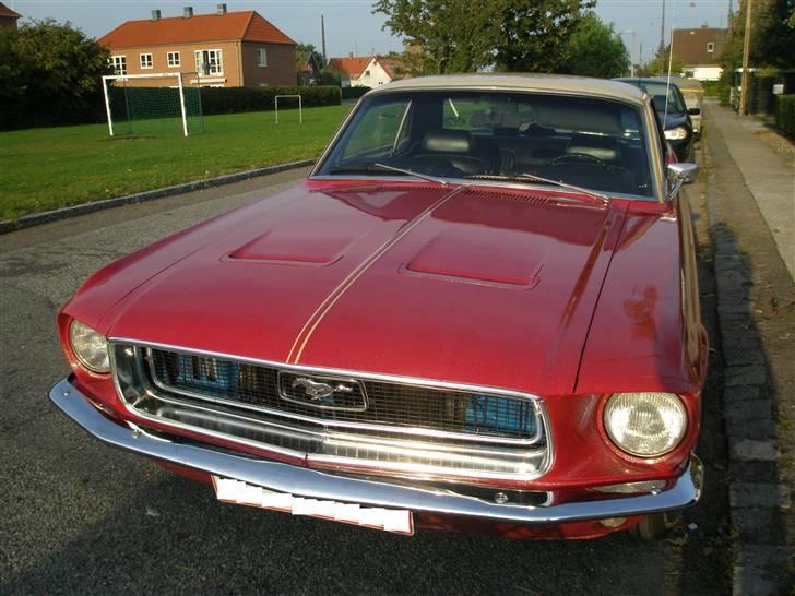 Ford Mustang  SOLGT - September foto o7..Rød er min klart fortrukne Mustang farve... billede 17