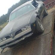 Pontiac Trans Am (SOLGT)