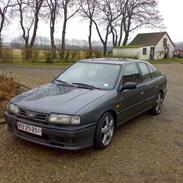 Nissan Primera (skrotte)