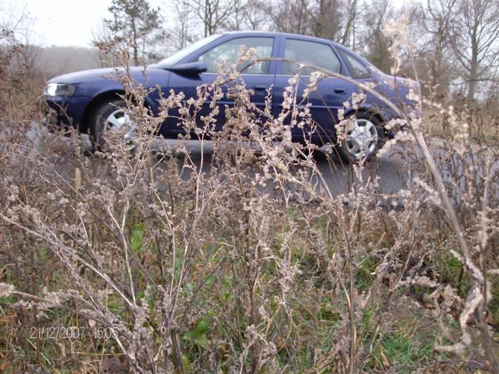 Opel Vectra b DØD billede 11