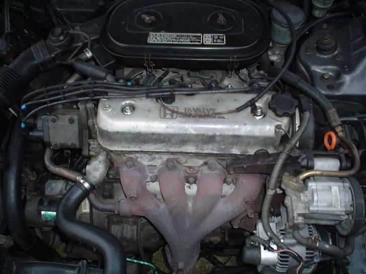 Honda Accord billede 14