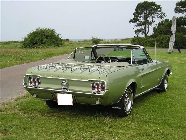 Ford Mustang convertible - En smuk bagende i smukke omgiveler billede 6