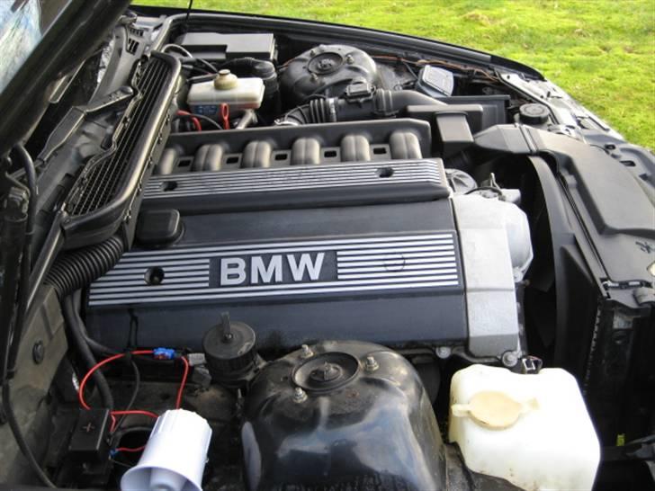 BMW E36 320i Vanos (SOLGT) billede 11