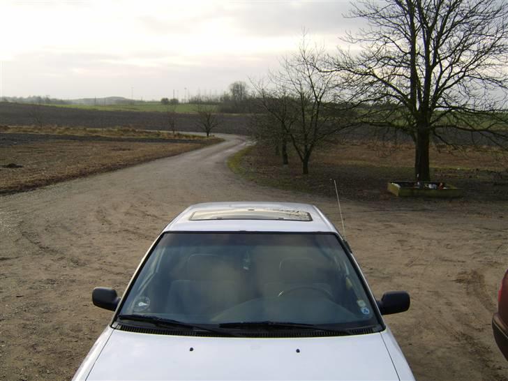 Toyota Corolla xl 1,3 12V  billede 10