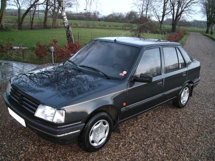 Peugeot 309 GRI R.I.P. billede 1