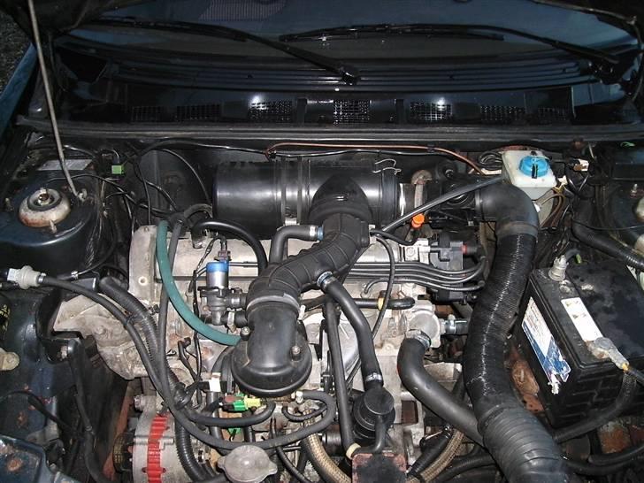 Peugeot 309 GRI R.I.P. billede 6