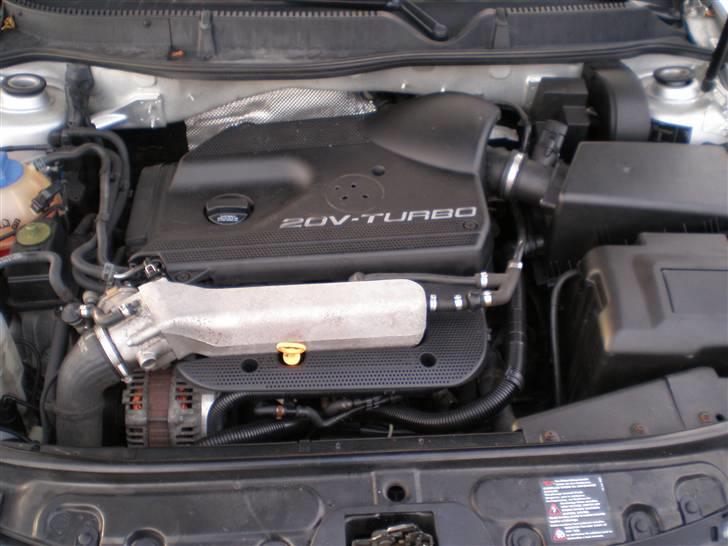 Seat Leon - Standart motor. her vil komme mange forandringer(masser af heste) billede 1