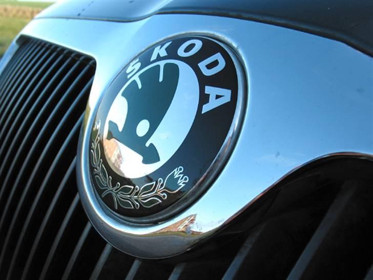 Skoda Octavia Elegance 1.9 TDI  - Front logo close up. billede 3