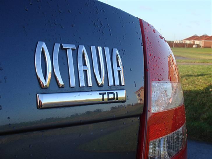 Skoda Octavia Elegance 1.9 TDI  - Close up af logo. billede 6
