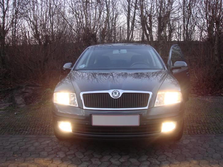 Skoda Octavia Elegance 1.9 TDI  - Bilen med lys og tågelys på. billede 7