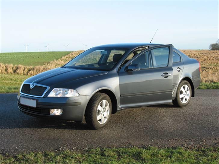 Skoda Octavia Elegance 1.9 TDI  - Forfra fra en anden vinkel. billede 9