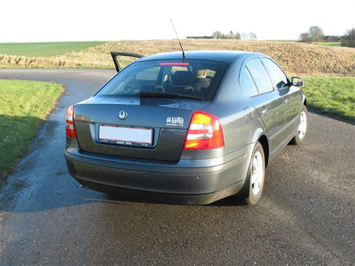 Skoda Octavia Elegance 1.9 TDI  - Bilen set bagfra. billede 11