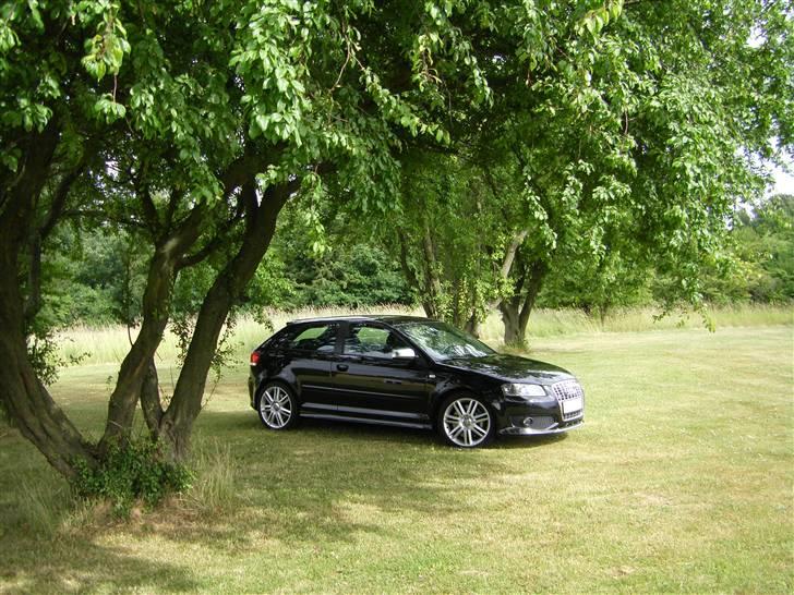 Audi S3 med Draken F-35 *solgt* billede 12