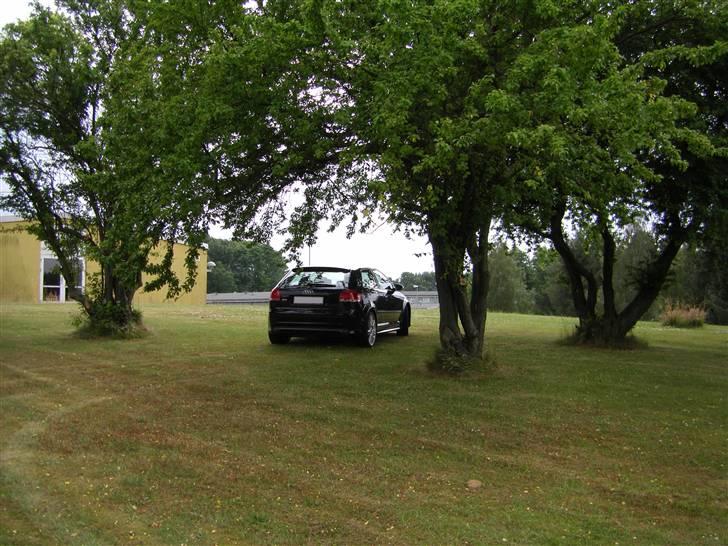 Audi S3 med Draken F-35 *solgt* billede 14