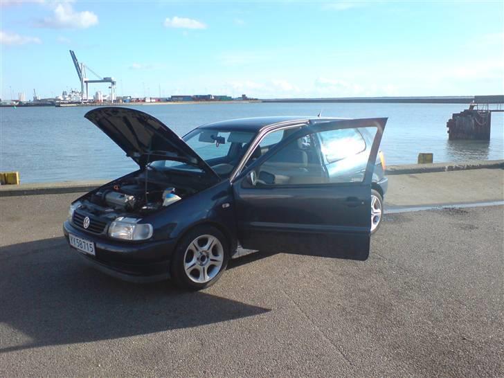 VW VW Polo 6N 1,6i 8v SOLGT billede 1