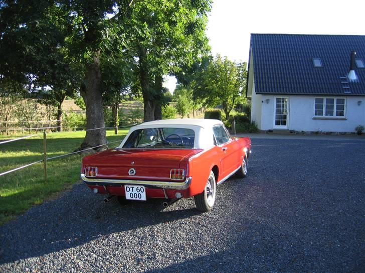 Ford mustang conv. - Her kan man så nyde det færdige resultat.. billede 13