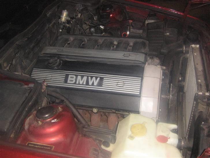 BMW 525i 24v billede 13