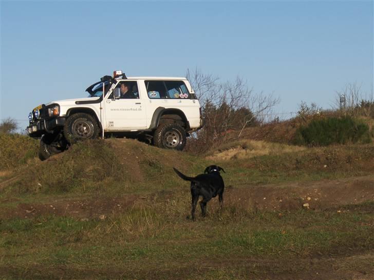 Nissan Patrol GR 2.8 billede 8