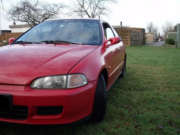 Honda Civic (SOLGT) billede 1