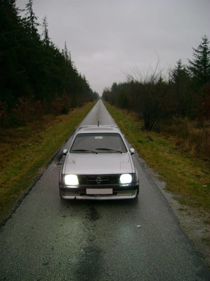 Opel Kadett D GTE - Fin lille vej..  billede 3