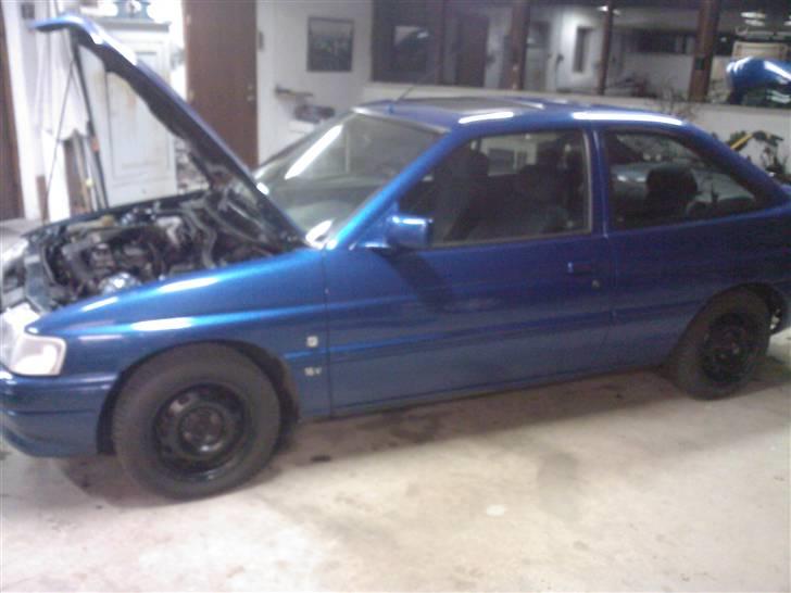 Ford Escort billede 10