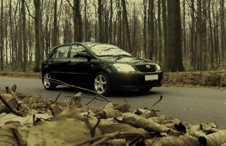 Toyota Corolla billede 4