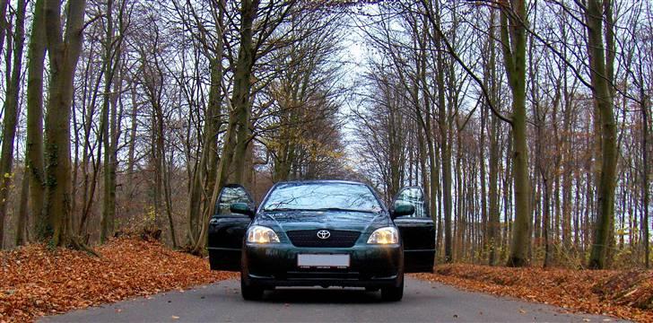 Toyota Corolla billede 9