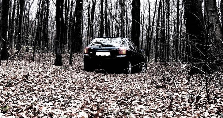 Toyota Corolla billede 15