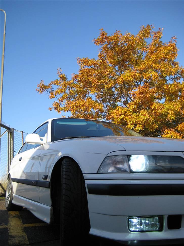 BMW E36 Coupé   billede 7