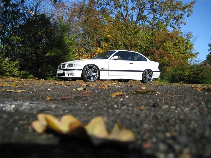 BMW E36 Coupé   billede 11