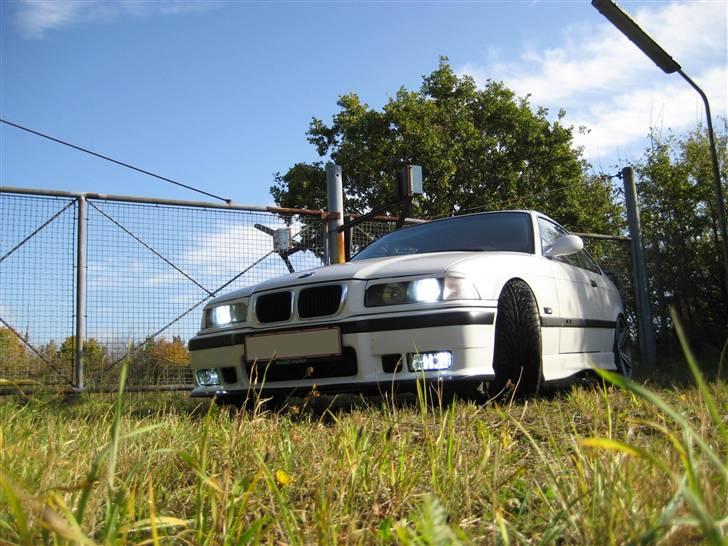 BMW E36 Coupé   billede 13