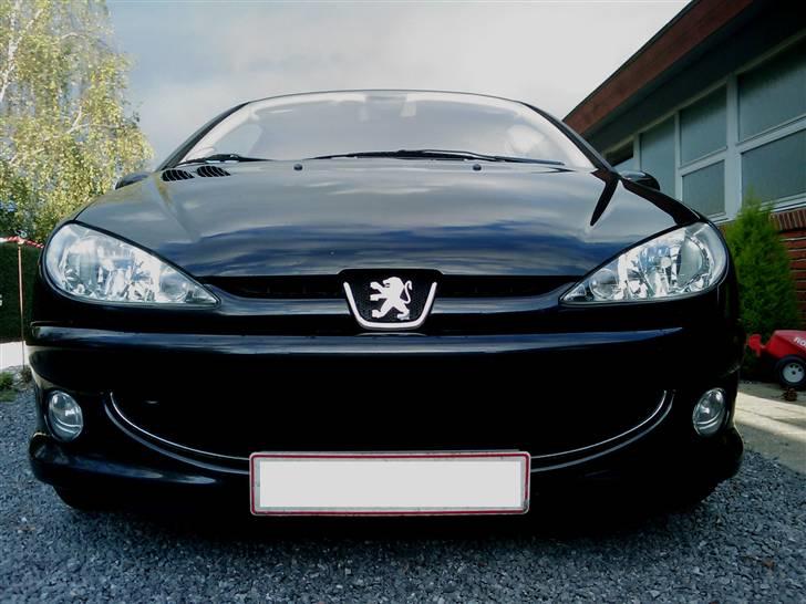 Peugeot 206 S-Line Griffe billede 1