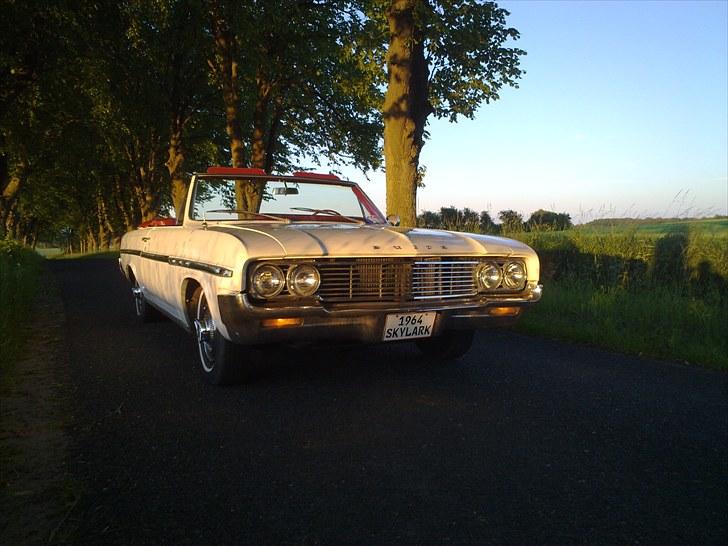 Buick Skylark - Juni 2010 billede 5