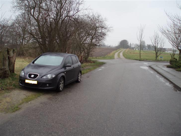 Seat altea   (SOLGT) billede 3