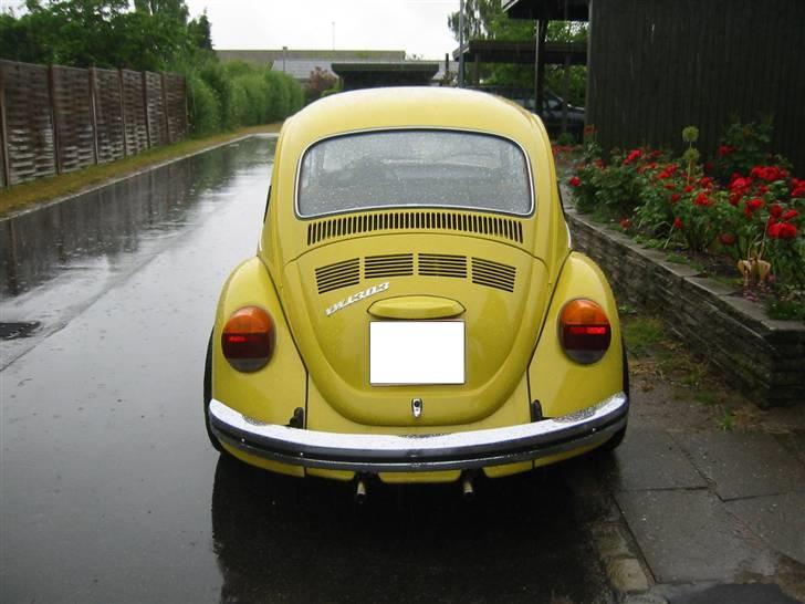 VW 1303  billede 10