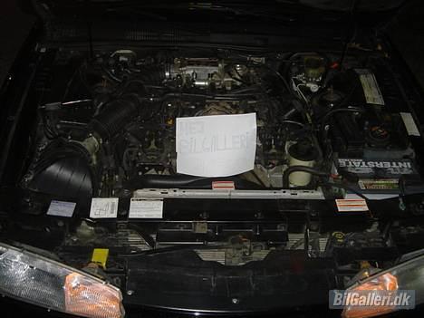 Amerikaner  Ford Thunderbird Lx - Haaber at man kan se at der staar "Hej Bilgalleri"  billede 5