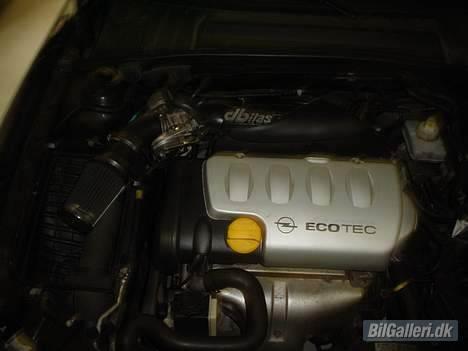 Opel Vectra B Wagon billede 10