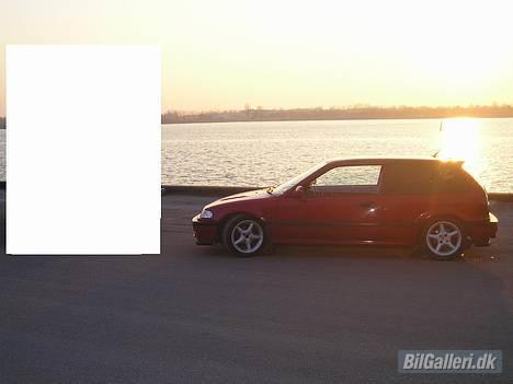 Honda Civic billede 8