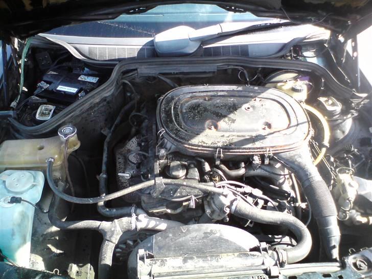 Mercedes Benz 190E SOLGT - motoren billede 10