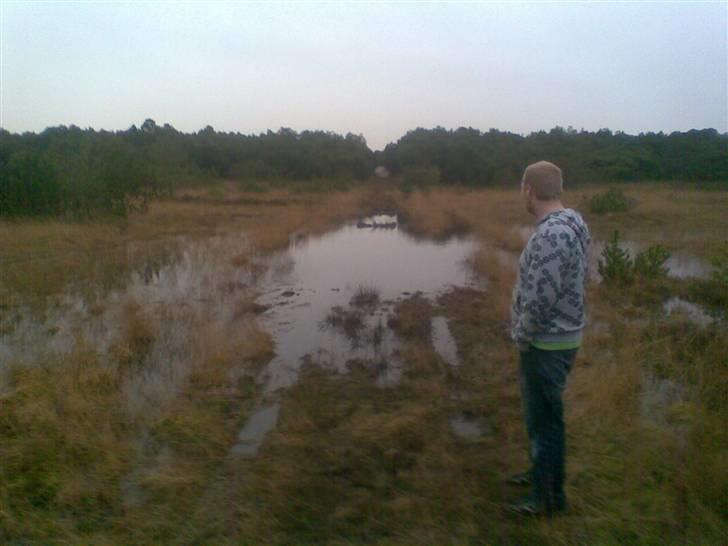 Nissan king cab 4x4 (solgt) - et "lille" vandhul vi lige var et tur igennem billede 14